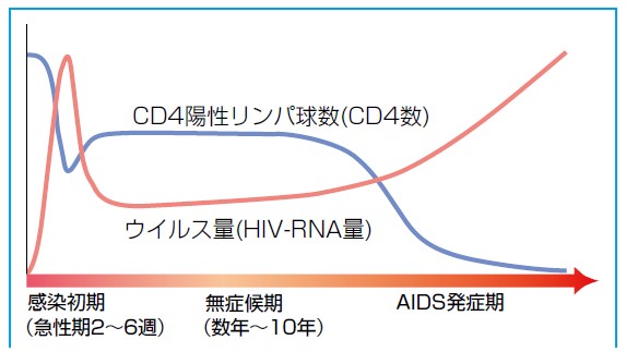 HIV_tiryotebiki.jpg