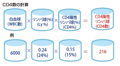 CD4陽性リンパ球とは