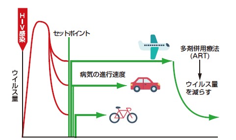 ウィルス量（HIV-RNA量）とは